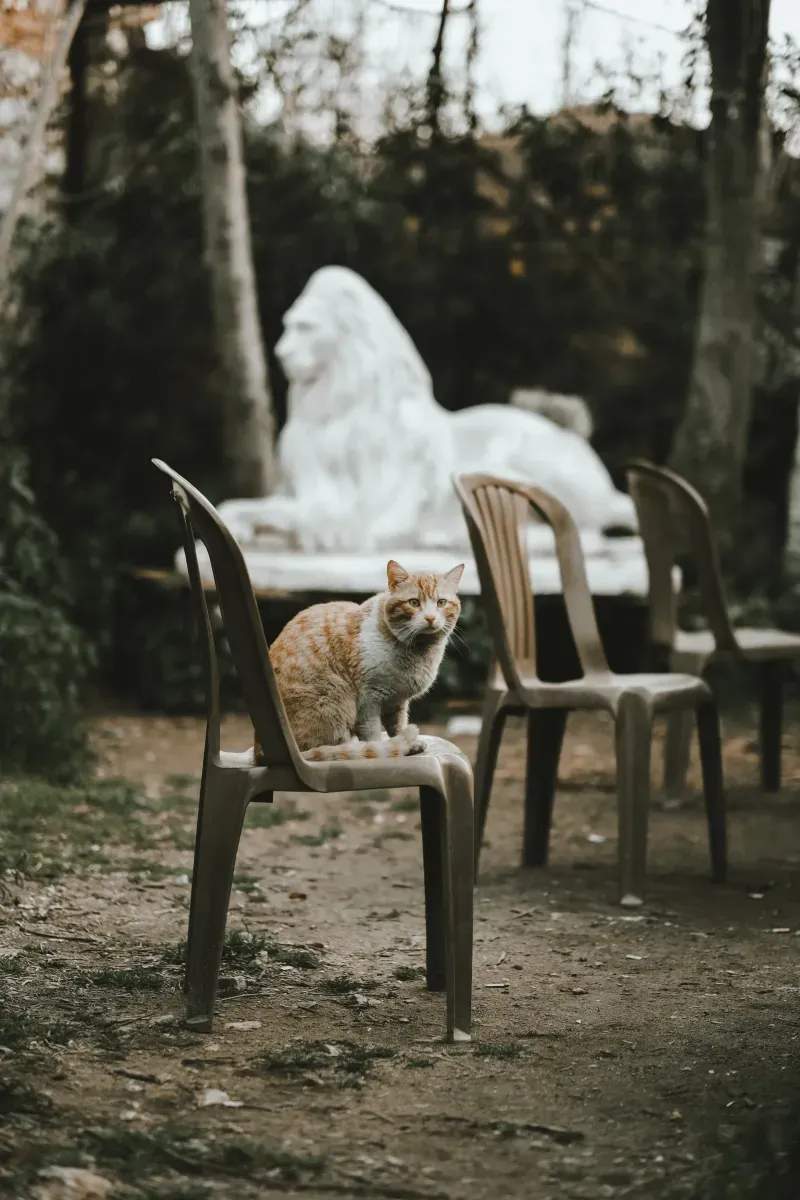 What Makes a Well-Crafted Chair Worth Considering